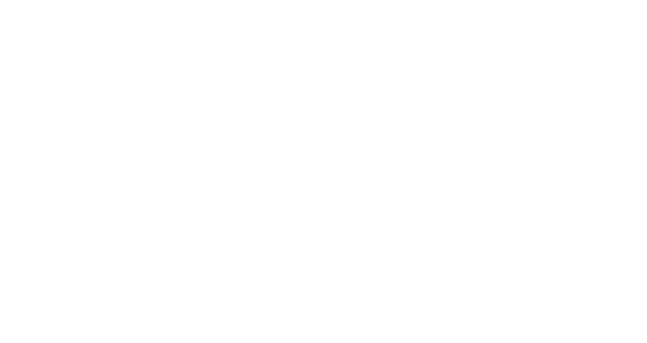 Header Logo 1 | Peeters car company