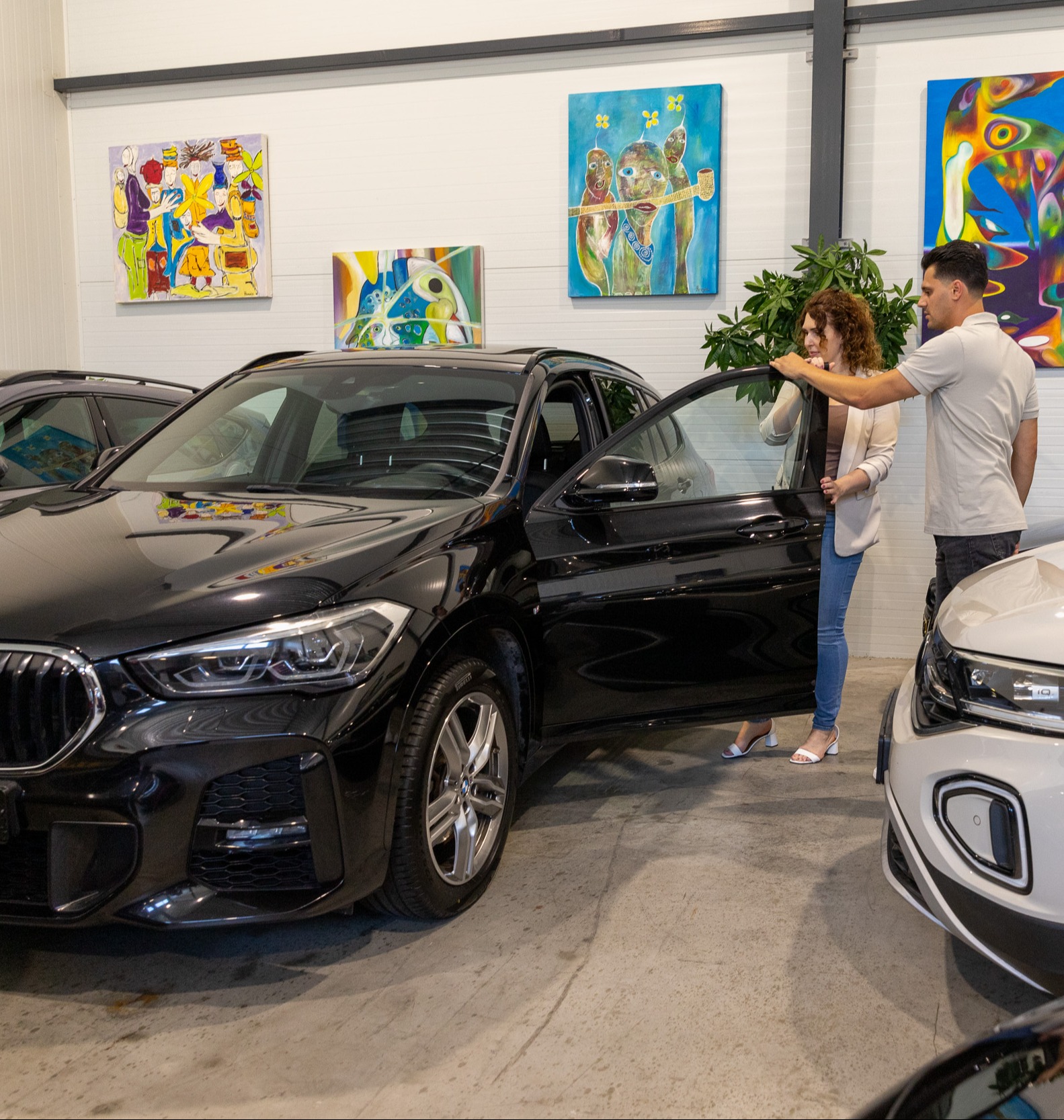 Common Image dinesten_images_1784201883.jpg VERZEKERING | Peeters car company